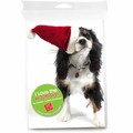Consumer Friendly 10-pack-Cavalier Sideways Hat<br>Item number: DS3-16XMAS: Dogs Holiday Merchandise 
