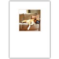 Love Card - Boxer on the couch<br>Item number: DS1-03LOVE: Dogs Gift Products 
