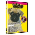 Pug - Everything You Should Know<br>Item number: 71529: Dogs Training Products 