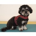 Country Christmas Harness: Dogs Pet Apparel 
