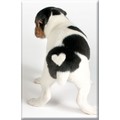 Heart Puppy Metal Magnets<br>Item number: HEART PUP MAGNETS/CASE: Dogs For the Home Kitchen Supplies 