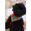 Plaid Me Up: Dogs Holiday Merchandise Christmas Items 