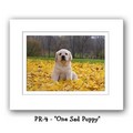 "One Sad Puppy" Double Matted Prints 8x10<br>Item number: PR-4: Dogs For the Home 