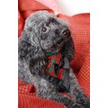 Top Dog: Dogs Holiday Merchandise 
