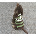 Peace Sign Sweater: Dogs Pet Apparel 