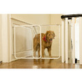 The Clear Gate: Dogs Training Products 