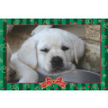 7" x 5 " Greeting Cards - Christmas #4<br>Item number: 068: Dogs Gift Products 