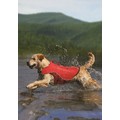 KURGO SURF N TURF LIFE JACKET | COAT: Dogs Pet Apparel 
