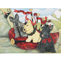 Scottish Terrier<br>Item number: C936: Dogs Holiday Merchandise 