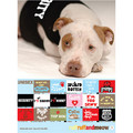 Doggie Tee - Tougher Than I look: Dogs Pet Apparel 