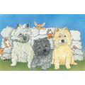 Dog Cat and other small Animals-La Villa Note Cards<br>Item number: N993B: Dogs Gift Products 