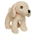 Mini Plush Toy: Dogs Toys and Playthings 