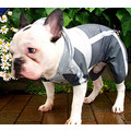 Cover-All Raincoat: Dogs Pet Apparel 
