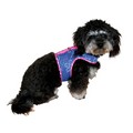 Rockport Harness: Dogs Pet Apparel 