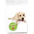 Consumer Friendly 10-pack - Lab Pup Burps<br>Item number: DS3-07XMAS: Dogs Holiday Merchandise 