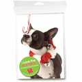 Consumer Friendly 10-pack - Boston Candy Cane Nose<br>Item number: DS3-13XMAS: Dogs Holiday Merchandise 