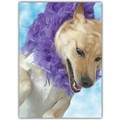 Friendship Card - Free Falling Lab<br>Item number: DS2-03FRIEND: Dogs Gift Products 
