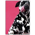 Love Card - Dalmatian<br>Item number: DS2-01LOVE: Dogs Gift Products 