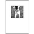 Love Card - Love comin' at ya!<br>Item number: DS1-04LOVE: Dogs Gift Products 