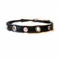 Sophia Small Dog Collar: Dogs Collars and Leads 