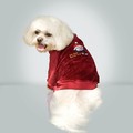 Do You Believe? Velour Top: Dogs Holiday Merchandise 
