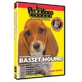 Basset Hound - Everything You Should Know<br>Item number: 71528: Dogs Training Products 