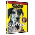 Great Dane - Everything You Should Know<br>Item number: 71524: Dogs Training Products 