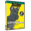 Scottish Terrier - Everything You Should Know<br>Item number: 71558: Dogs Training Products 