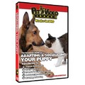 Adapting & Socializing Your Puppy<br>Item number: 71580: Dogs Training Products 