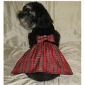 Holiday Cheer Dress: Dogs Pet Apparel 