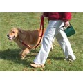 Grab'n Bag™ Dog Waste Scooper<br>Item number: DOGPP10: Dogs Stain, Odor and Clean-Up Poop Pick-Up Tools 