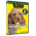 Cocker Spaniel - Everything You Should Know<br>Item number: 71526: Dogs Training Products DVDs 