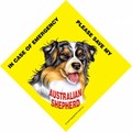 Save My Pet Signs With Suction Cup For In Home Window - (6/Case) (Breeds A-C): Dogs For the Home Miscellaneous 