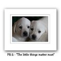 "The Little Things Matter Most" Double Matted Prints 16x20<br>Item number: PR-2: Dogs For the Home Decorative Items 
