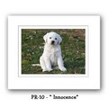 "Innocence" Double Matted Prints 8x10<br>Item number: PR-10: Dogs For the Home Decorative Items 