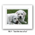 "Just the Two of Us" Double Matted 16x20<br>Item number: PR-7: Dogs For the Home Decorative Items 