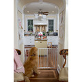10.5" Side Extension for the Stairway Special and Autolock Gate: Dogs For the Home Pet Gates 