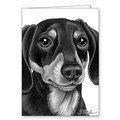 Dog Black and White Greeting Cards - 5" x 7" (2/Case) (Breeds Dachshund-Pug): Dogs Gift Products Novelty Items 