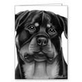 Dog Black and White Greeting Cards - 5" x 7" (2/Case) (Breeds Rottweiler-Yorkie): Dogs Gift Products Greeting Cards 