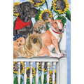 Dog Daze of Summer Birthday Cards<br>Item number: B877: Dogs Gift Products Greeting Cards 