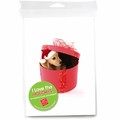 Consumer Friendly 10-pack - Golden Puppy Red Box<br>Item number: DS3-18XMAS: Dogs Gift Products Greeting Cards 