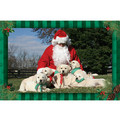7" x 5 " Greeting Cards - Christmas #3<br>Item number: 067: Dogs Gift Products Greeting Cards 