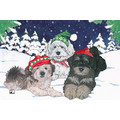 Havanese<br>Item number: C503: Dogs Gift Products Greeting Cards 