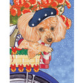 Poodle Toy Apricot<br>Item number: C884: Dogs Gift Products Greeting Cards 