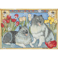 Keeshond<br>Item number: C968: Dogs Gift Products Greeting Cards 