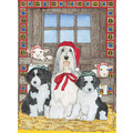 Bearded Collie<br>Item number: C970: Dogs Gift Products Greeting Cards 