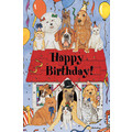 Dog and Cat-Animal House<br>Item number: B959: Dogs Gift Products Greeting Cards 