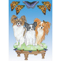 Breed Specific Note Cards (P-R): Dogs Gift Products Greeting Cards 