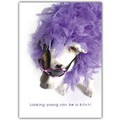 Birthday Card - Jack w/ Sunglasses<br>Item number: DS2-03BIRTH: Dogs Gift Products Greeting Cards 
