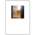 Birthday Card Golden & Toilet<br>Item number: DS1-04BIRTH: Dogs Gift Products Greeting Cards 
